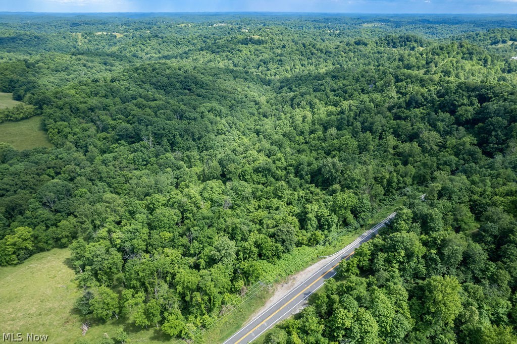 0 Windy Rdg Road Elizabeth, WV 26143 - Photo 5 of 12
