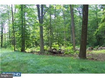 Lot 3 Mill Pond Road Quakertown, PA 18951 - Photo 1 of 5 Gallery Image 1