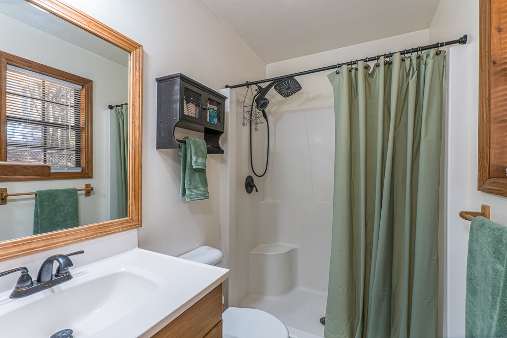 9 Settlers Crossing Way Murphy, NC 28906 - Photo 12 of 37 a bathroom with a sink toilet and shower