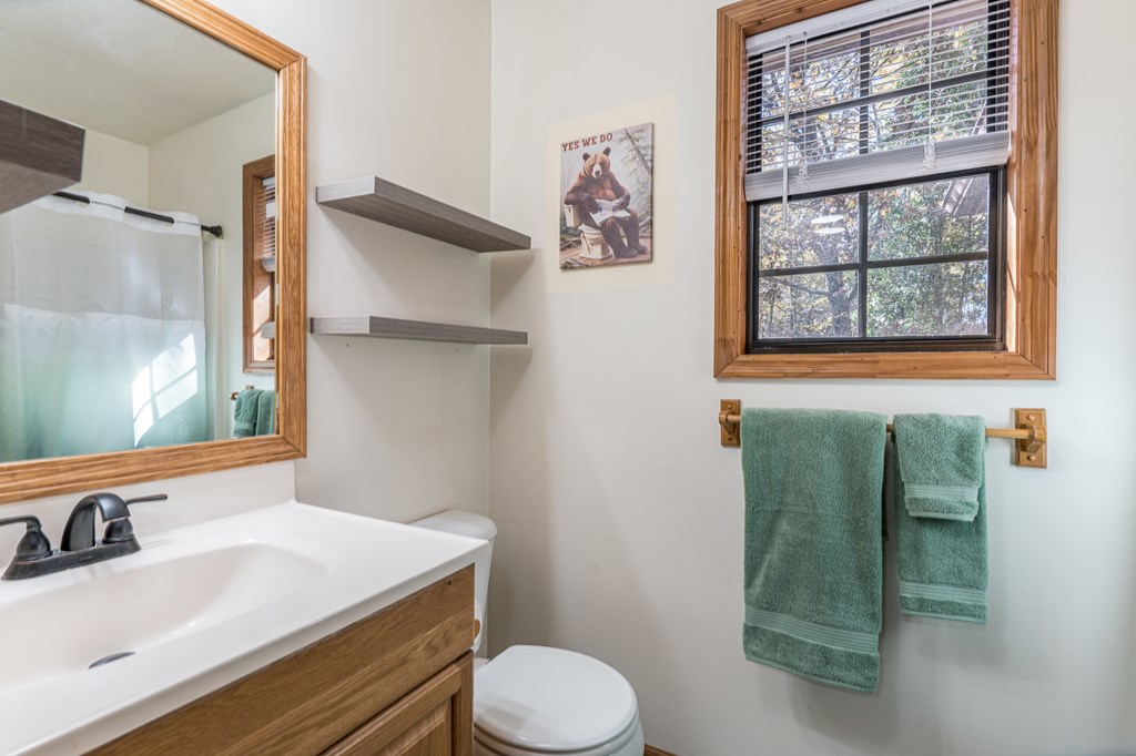 9 Settlers Crossing Way Murphy, NC 28906 - Photo 18 of 37 a bathroom with a sink toilet and window