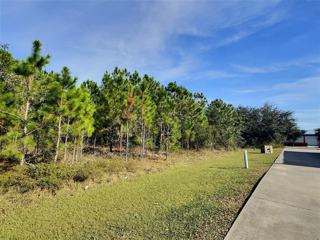 0 North State Street Bunnell, FL 32110 - Photo 4 of 13