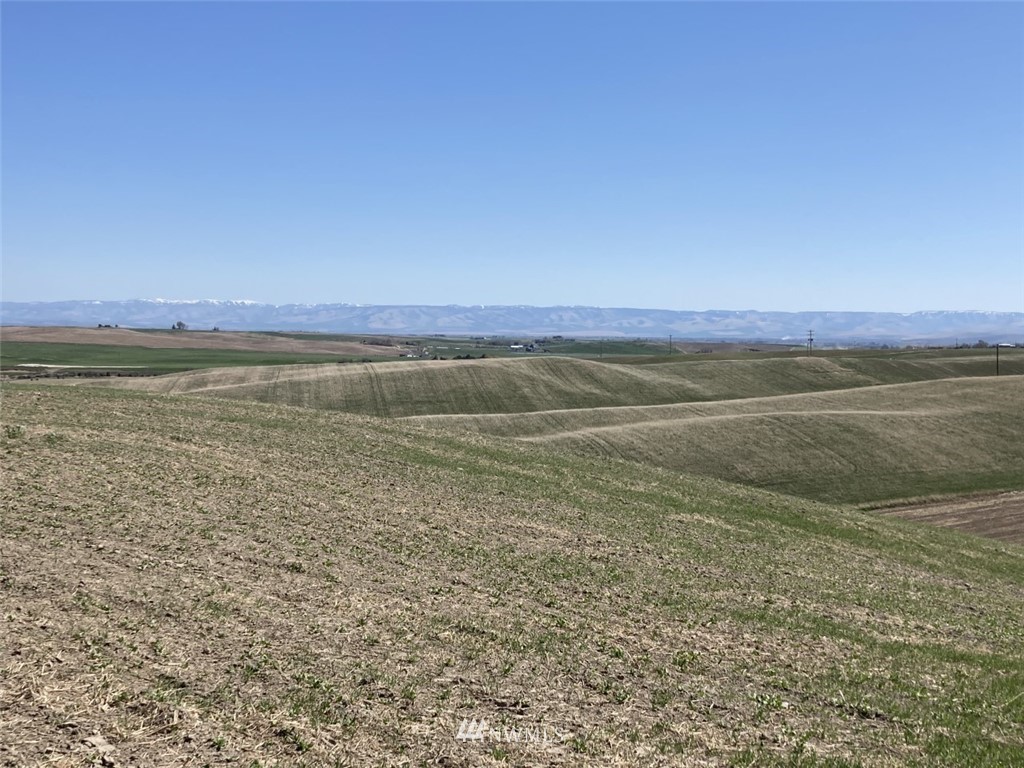 4 Sand Pit Road Touchet, WA 99360 - Photo 12 of 16