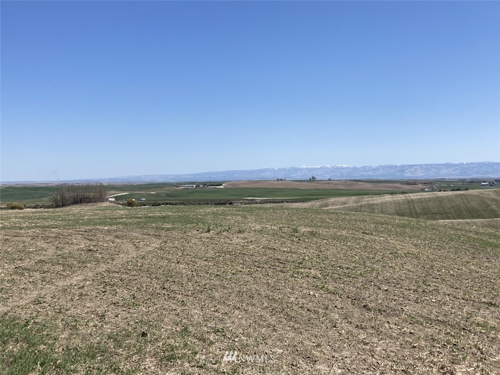 4 Sand Pit Road Touchet, WA 99360 - Photo 3 of 16