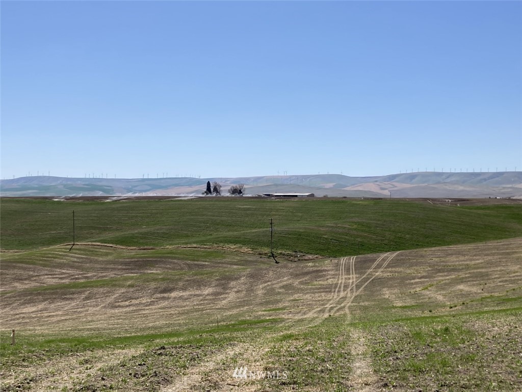 4 Sand Pit Road Touchet, WA 99360 - Photo 10 of 16