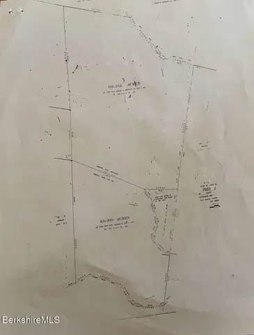 a white vase with flowers on it