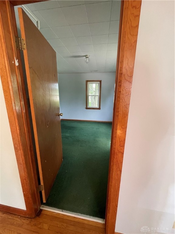 Gallery Image 7