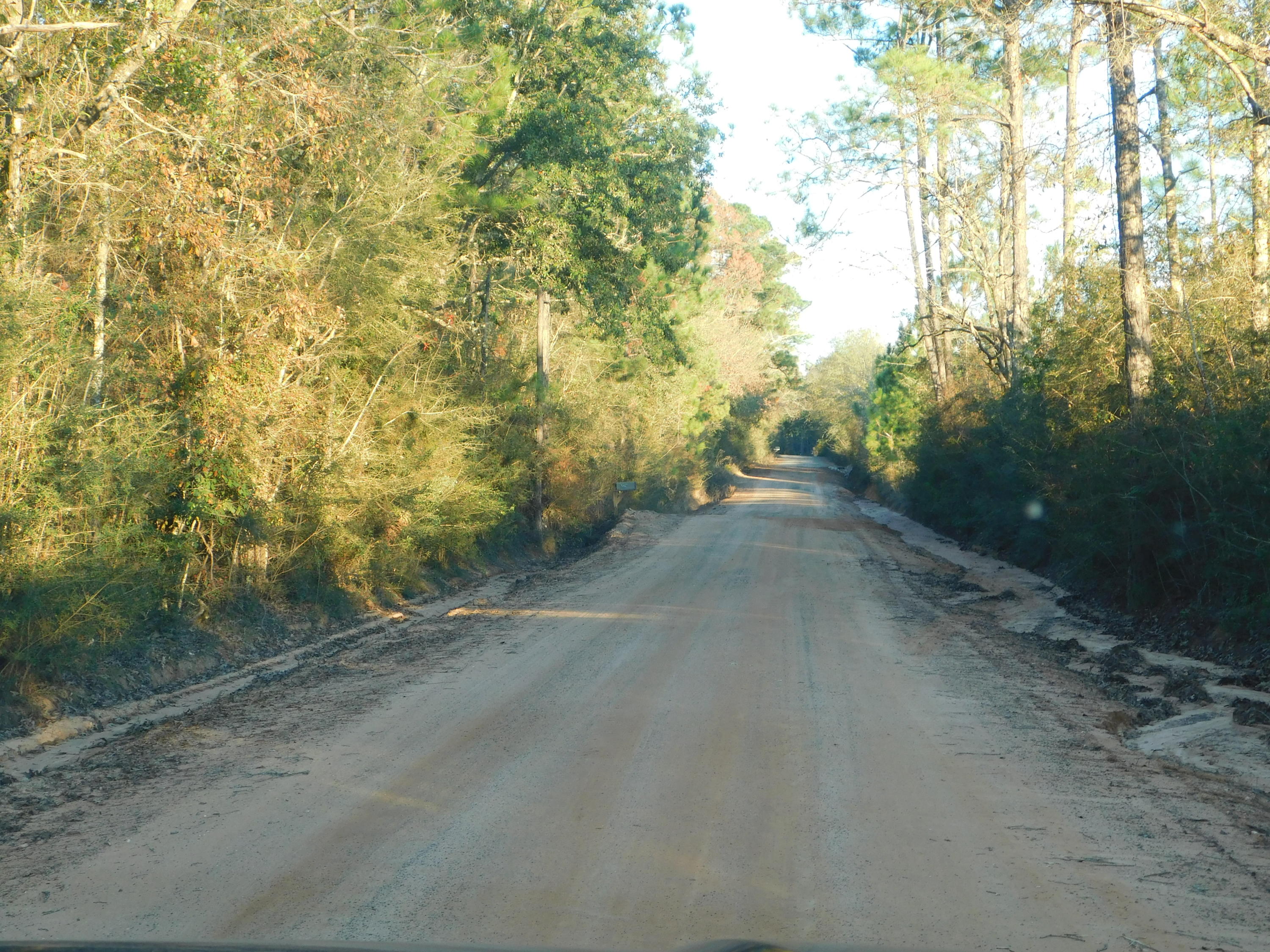 4 Rd Baker Road Baker, FL 32531 - Photo 3 of 47 Copy of DSCN2044