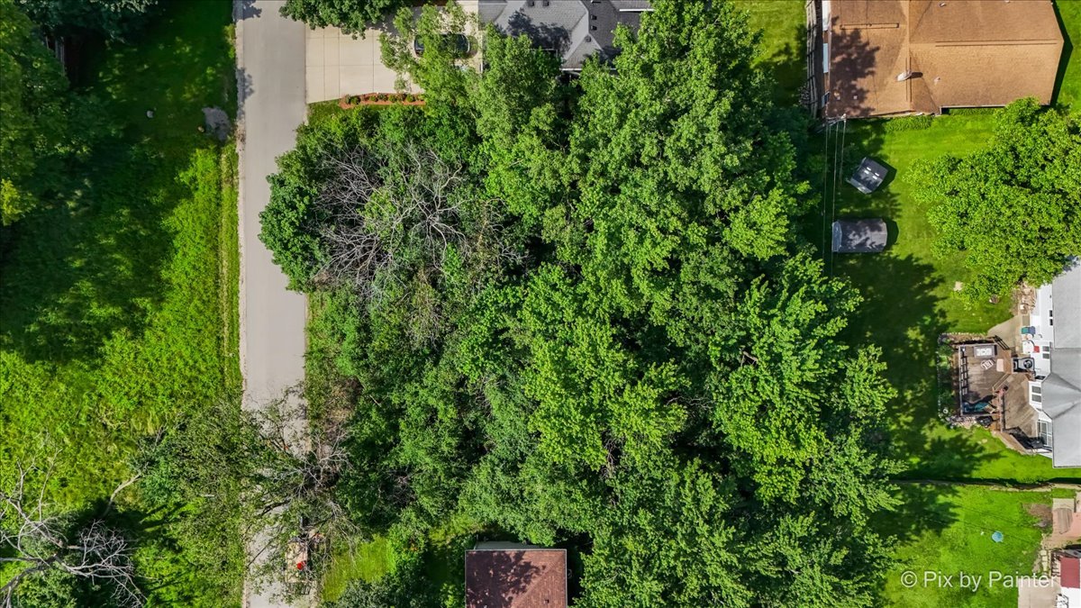4N155 Niles Avenue Addison, IL 60101 - Photo 11 of 22