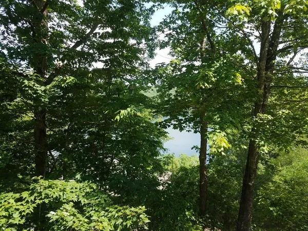 $43,000 | 43 Kestrel Rdg Circle, Murphy, NC 28906