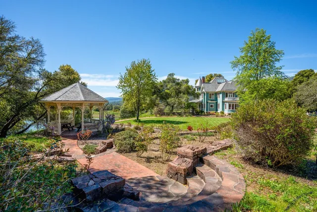 a view of a big yard with plants and large tree