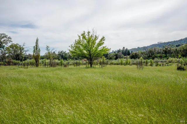 $4,995,000 | 11535 East Road, Redwood Valley, CA 95470