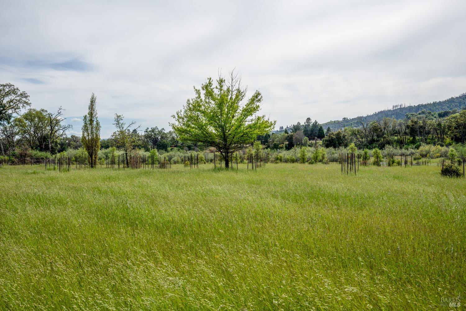 11535 East Road Redwood Valley, CA 95470 - Photo 74 of 82