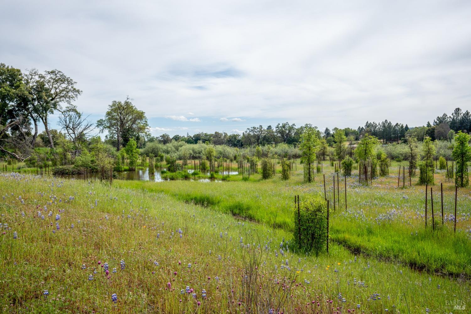 11535 East Road Redwood Valley, CA 95470 - Photo 75 of 82
