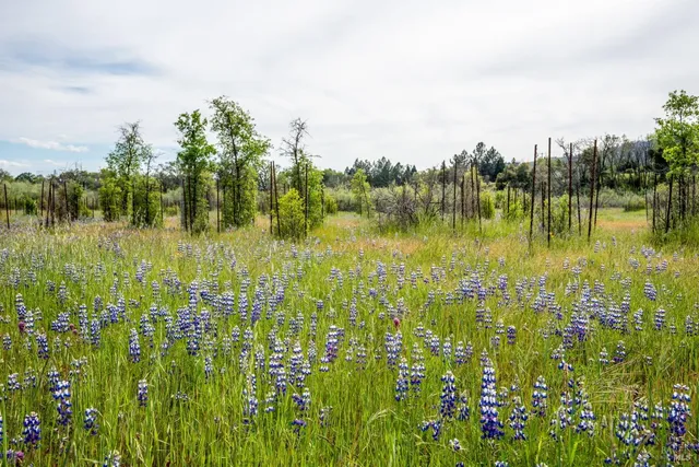 $4,995,000 | 11535 East Road, Redwood Valley, CA 95470