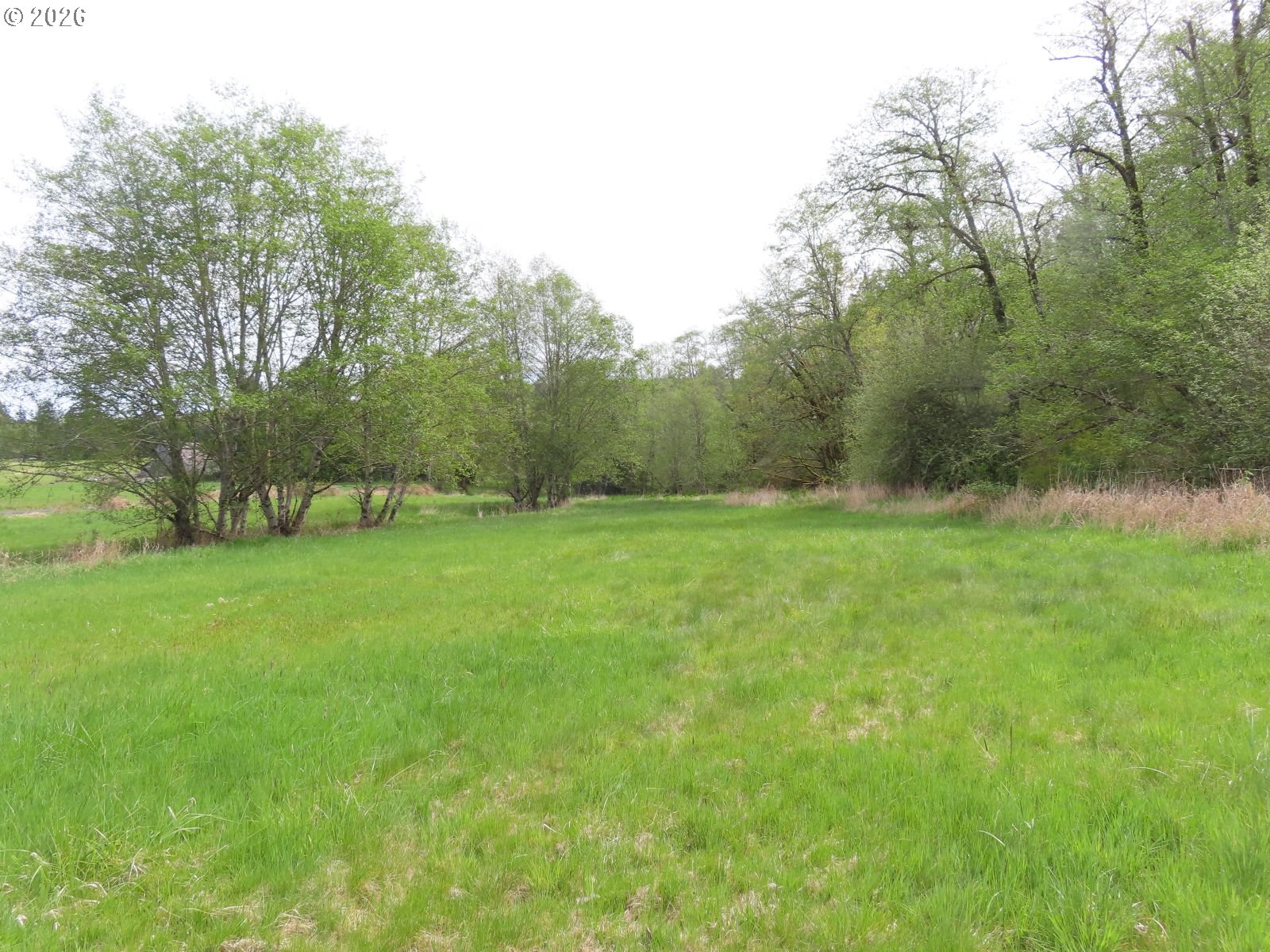 Hagen Road Mossyrock, WA 98564 - Photo 26 of 29