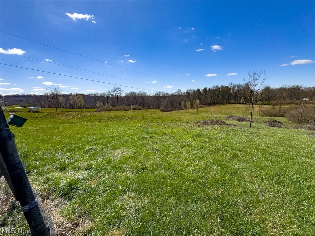 6880 Shaver Road Blue Rock, OH 43720 - Photo 8 of 36