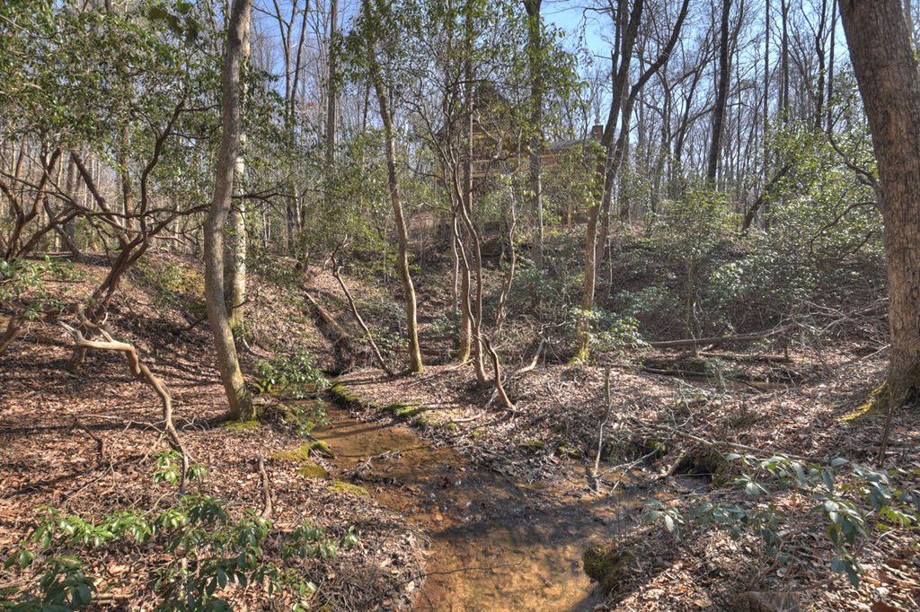 811 Mangum's Trail Blue Ridge, GA 30513 - Photo 35 of 70