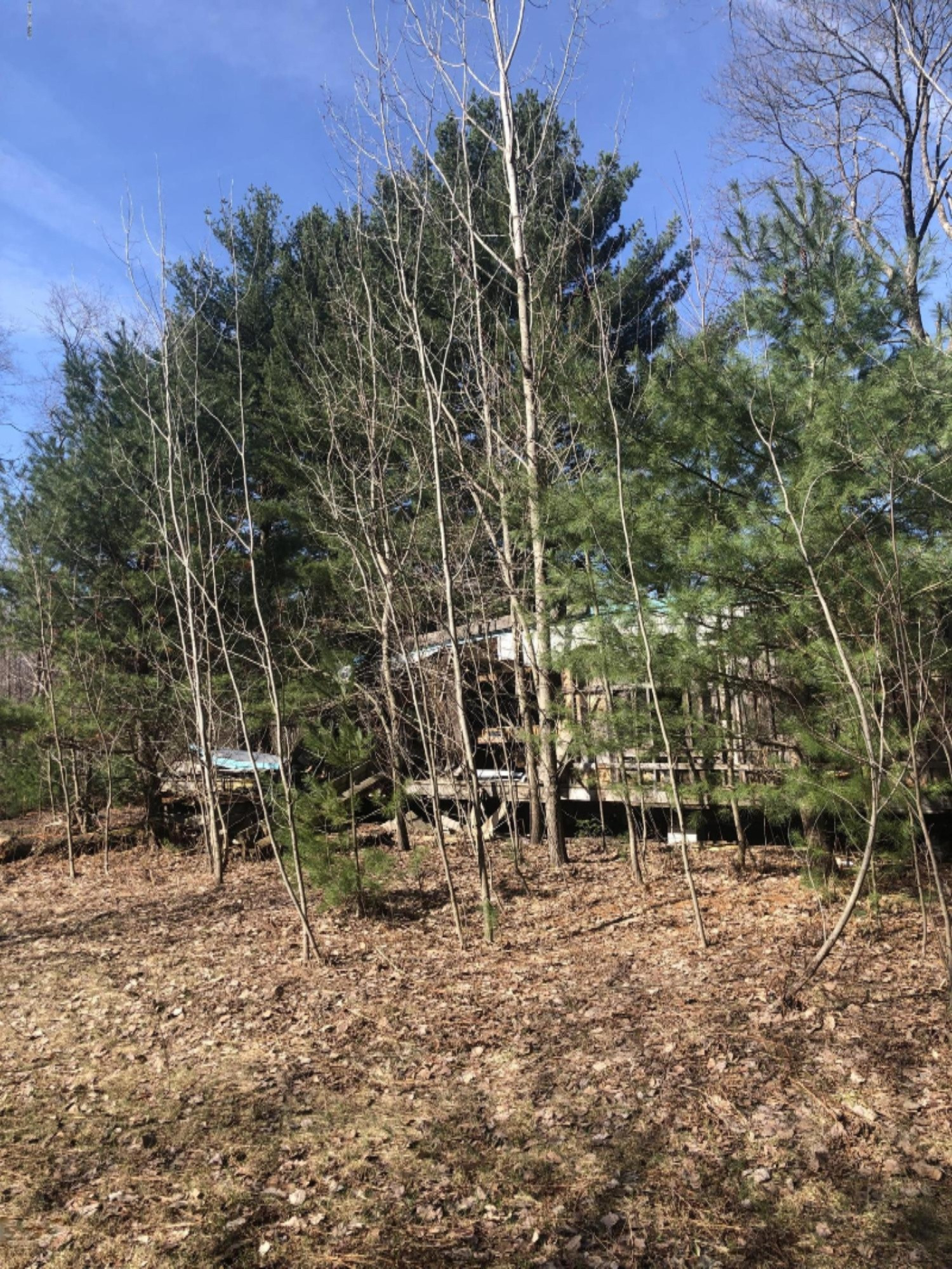 16283 Springdale Road Bear Lake, MI 49614 - Photo 5 of 14 IMG_0120