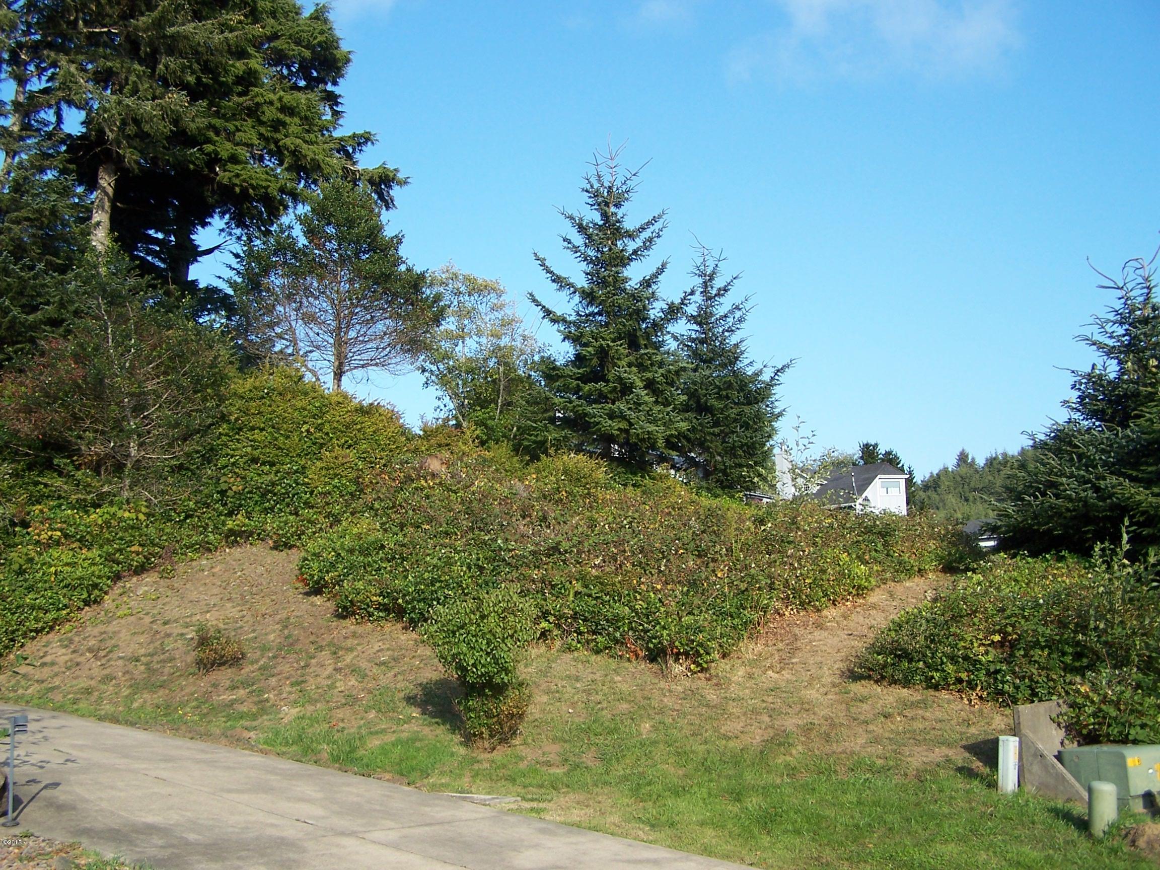 151 Combs Circle Yachats, OR 97498 - Photo 2 of 4 WOOD LOT