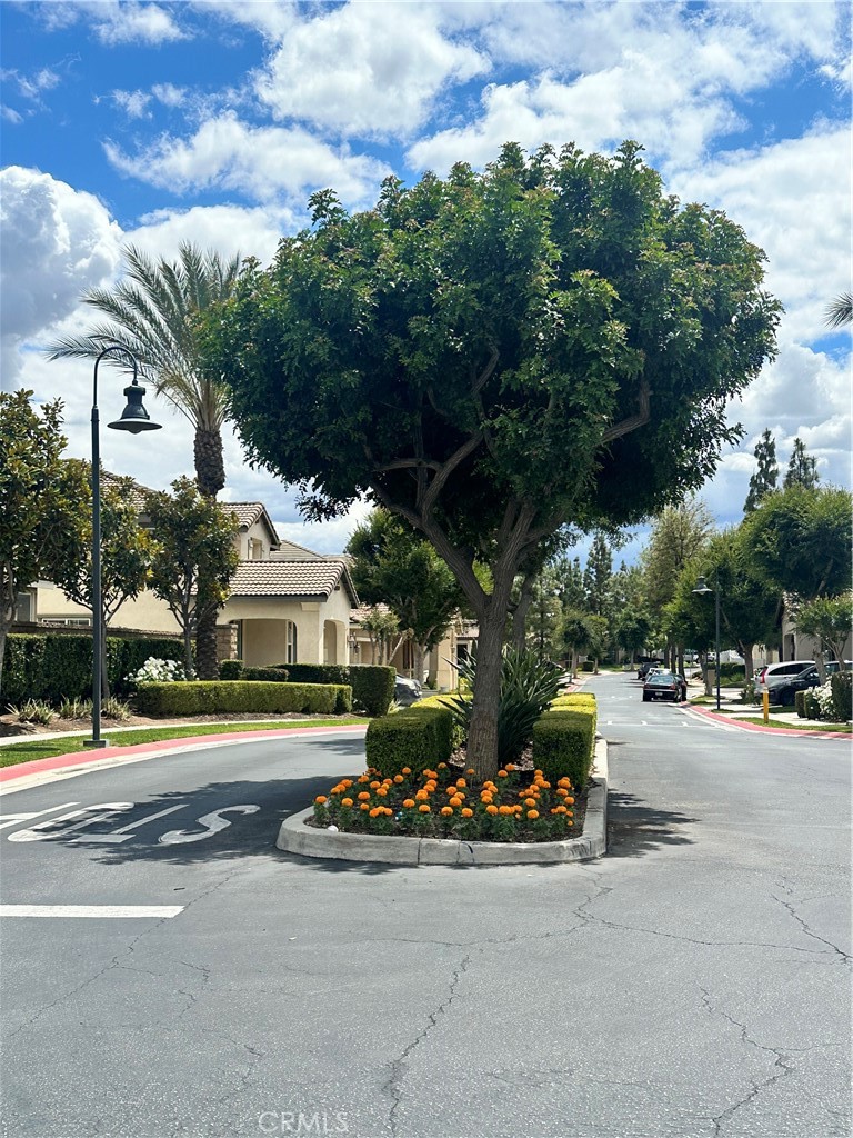1646 Palermo Drive Riverside, CA 92507 - Photo 9 of 9