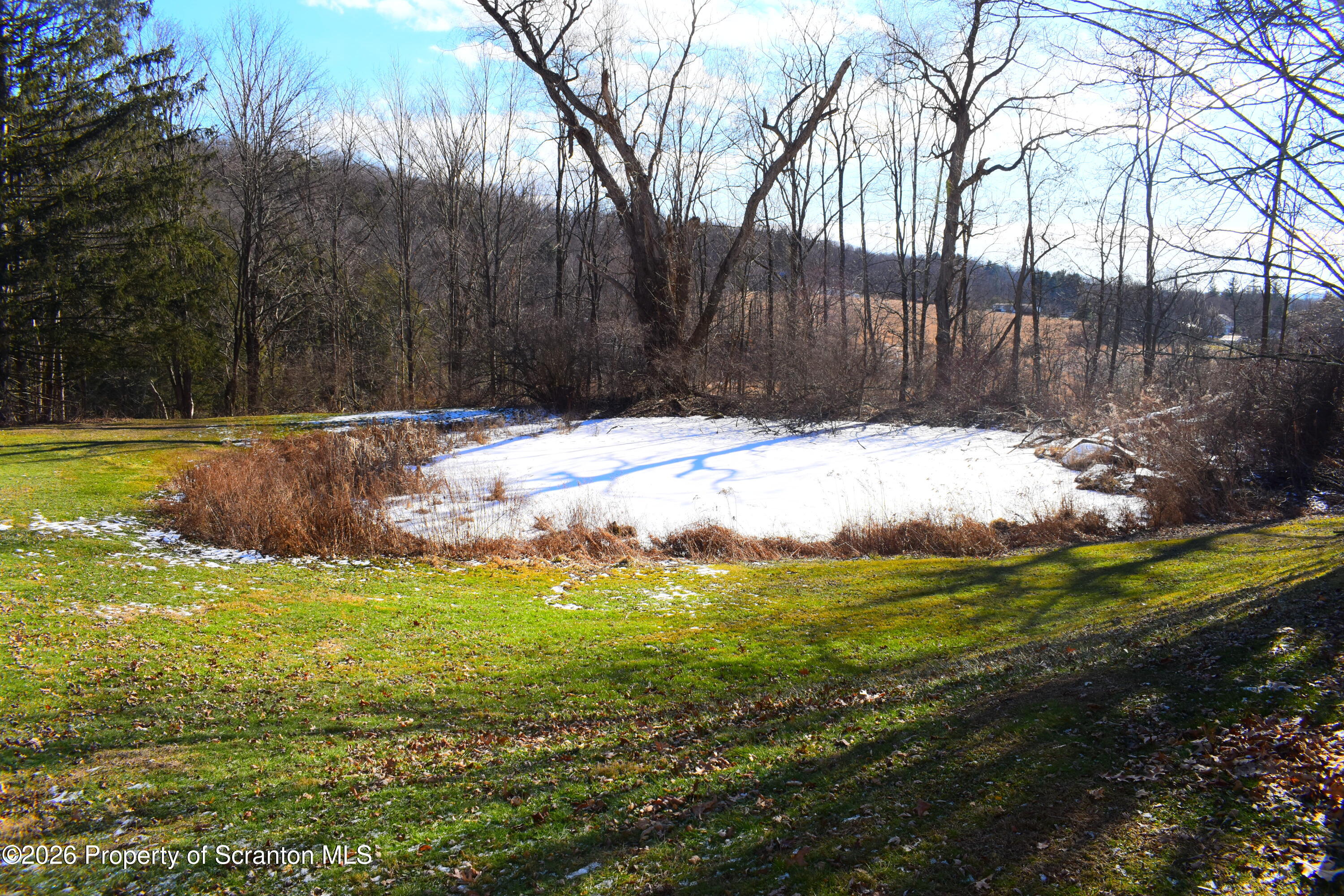 4164 Highway 29 Springville, PA 18844 - Photo 17 of 19 Pond