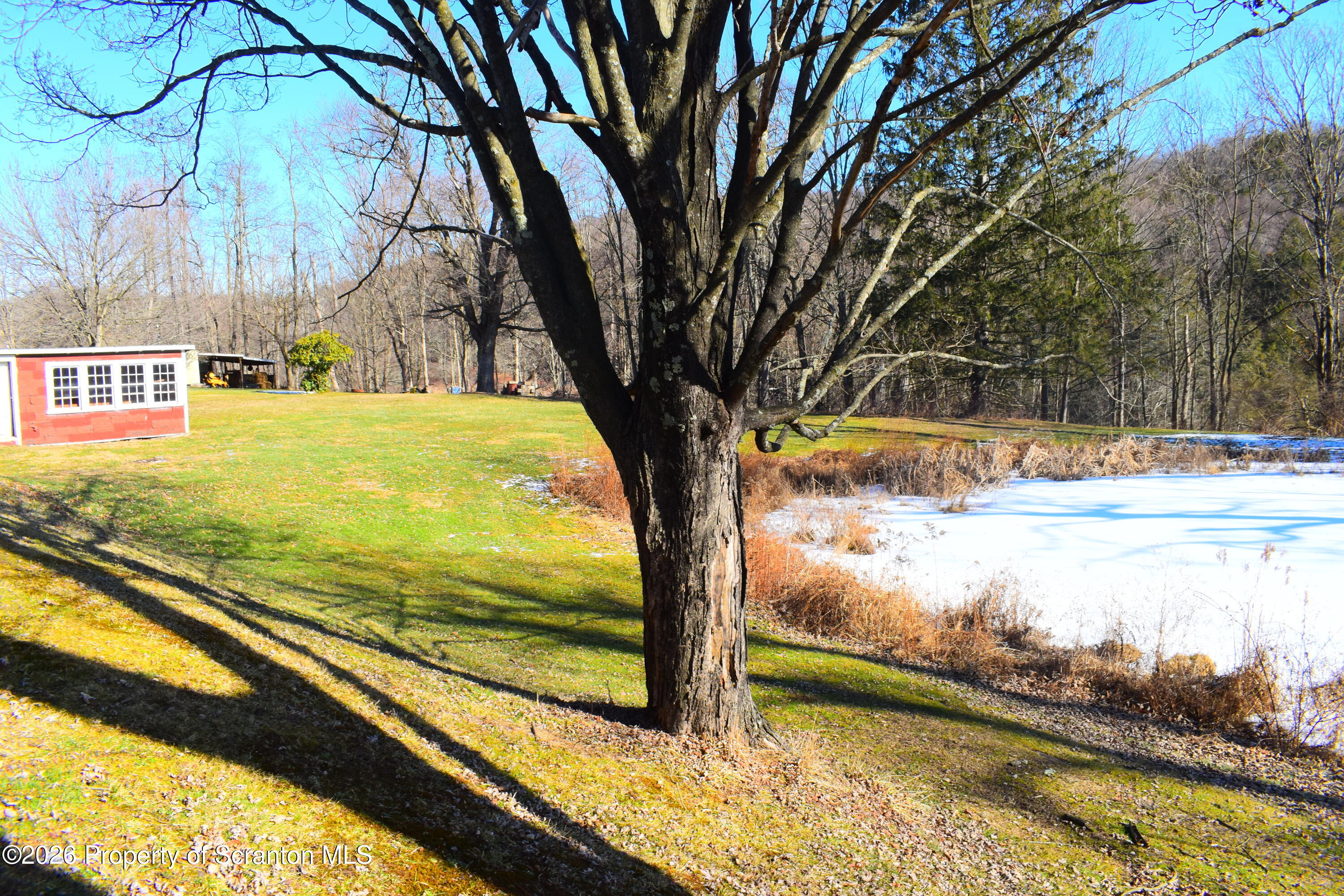 4164 Highway 29 Springville, PA 18844 - Photo 2 of 19 Yard,shed,pond