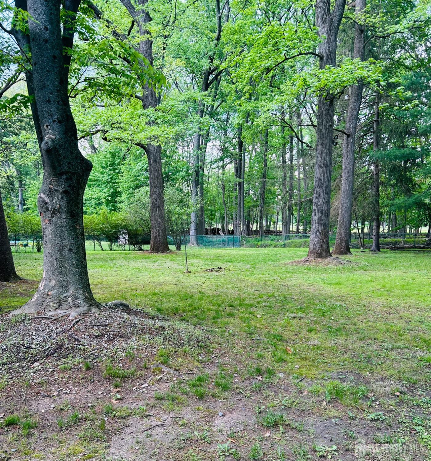 27 Clive Hills Road Edison, NJ 08820 - Photo 2 of 4 a view of a backyard with large trees