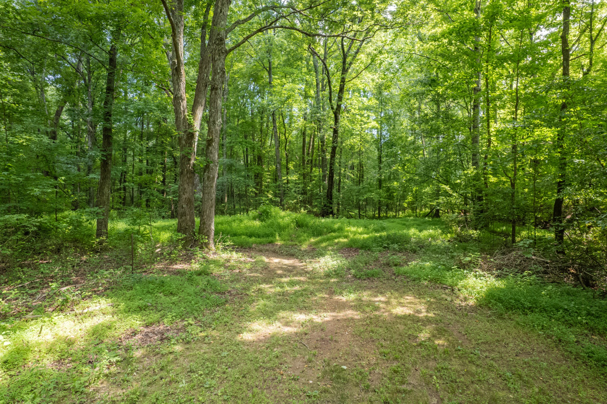 812 Good Hope Road Leoma, TN 38468 - Photo 25 of 66
