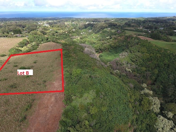 1855 Kauhikoa Road, Unit 222B Haiku, HI 96708 - Photo 11 of 15 a view of city and mountain