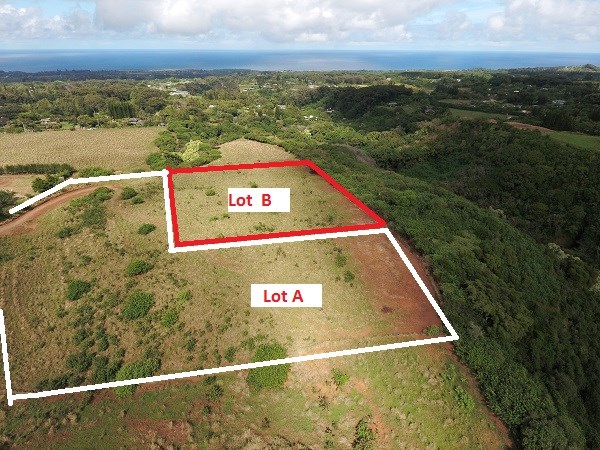 1855 Kauhikoa Road, Unit 222B Haiku, HI 96708 - Photo 7 of 15 a view of lake