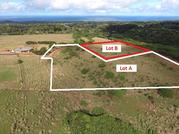 1855 Kauhikoa Road, Unit 222B Haiku, HI 96708 - Photo 8 of 15 a view of a city