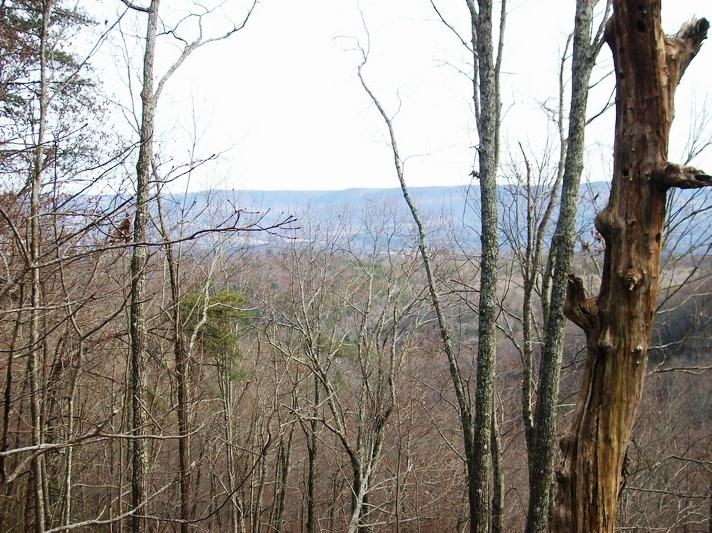 Lot 220 Jason Road Pikeville, TN 37367 - Photo 1 of 45 100_1485