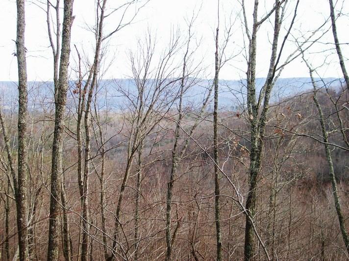 Lot 220 Jason Road Pikeville, TN 37367 - Photo 11 of 45 100_1486