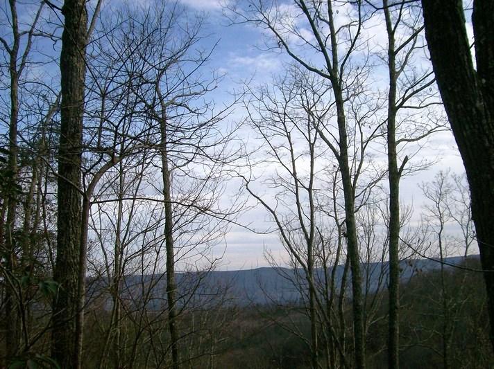 Lot 220 Jason Road Pikeville, TN 37367 - Photo 12 of 45 100_1489