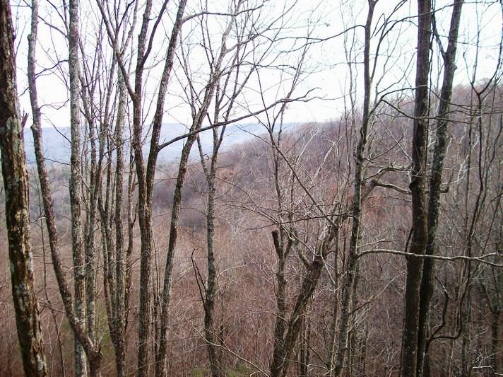 Lot 220 Jason Road Pikeville, TN 37367 - Photo 13 of 45 100_1478