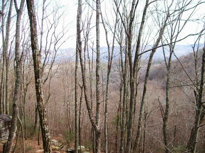 Lot 220 Jason Road Pikeville, TN 37367 - Photo 14 of 45 100_1477