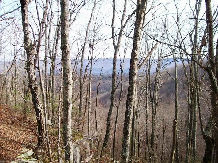 Lot 220 Jason Road Pikeville, TN 37367 - Photo 15 of 45 100_1476