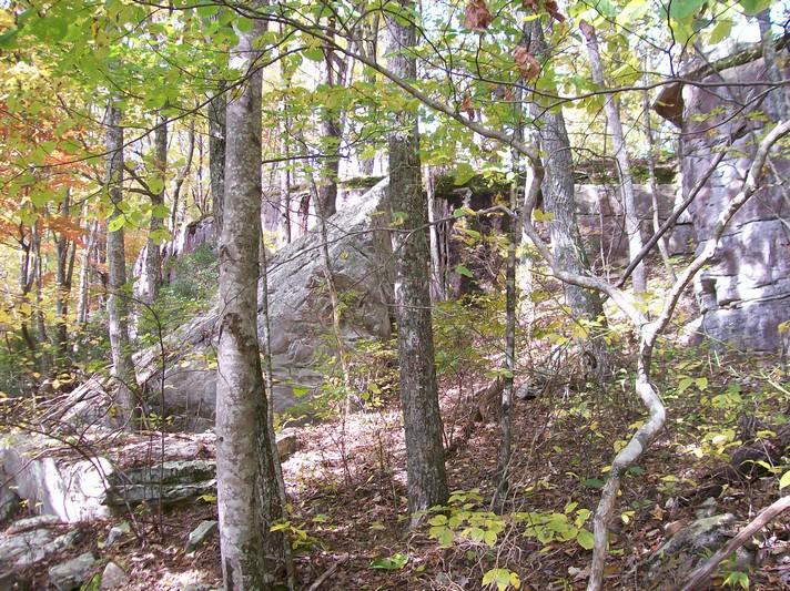 Lot 220 Jason Road Pikeville, TN 37367 - Photo 20 of 45 100_1280