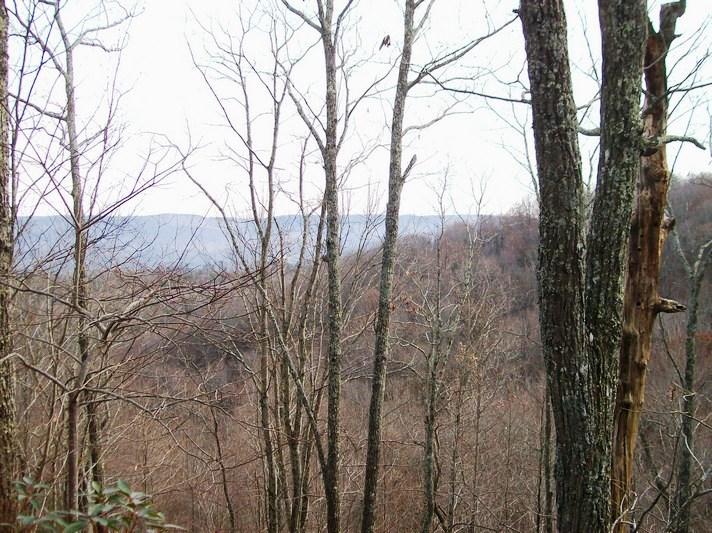 Lot 220 Jason Road Pikeville, TN 37367 - Photo 3 of 45 100_1482