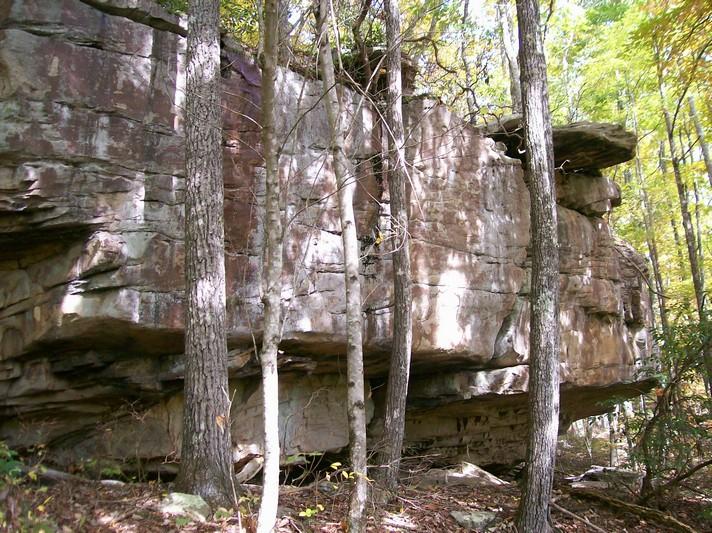 Lot 220 Jason Road Pikeville, TN 37367 - Photo 21 of 45 100_1284