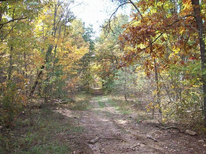 Lot 220 Jason Road Pikeville, TN 37367 - Photo 25 of 45 100_1260