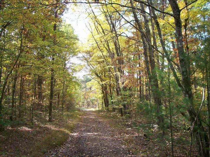 Lot 220 Jason Road Pikeville, TN 37367 - Photo 26 of 45 100_1261