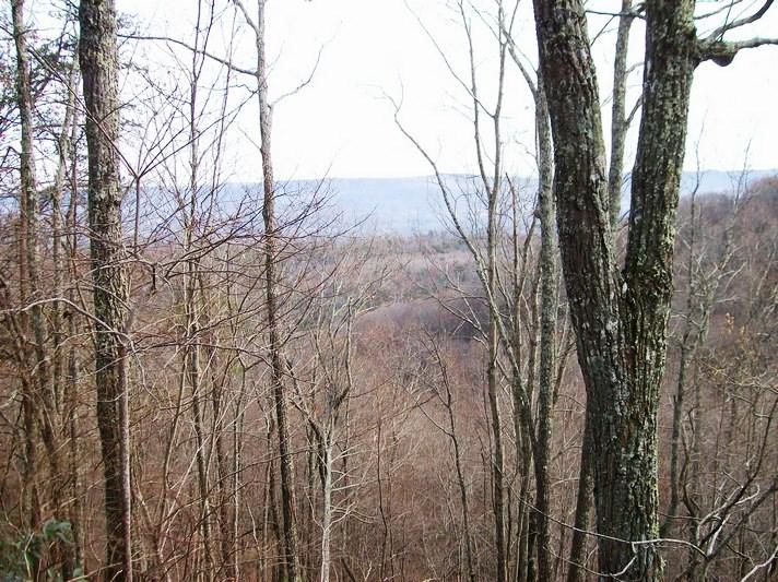 Lot 220 Jason Road Pikeville, TN 37367 - Photo 4 of 45 100_1481