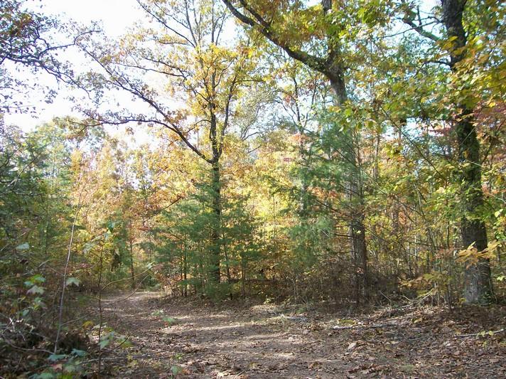 Lot 220 Jason Road Pikeville, TN 37367 - Photo 32 of 45 100_1267