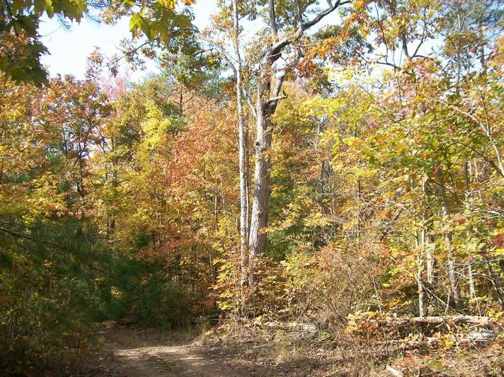 Lot 220 Jason Road Pikeville, TN 37367 - Photo 33 of 45 100_1268
