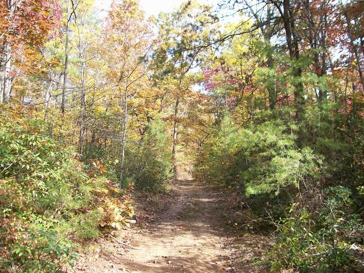 Lot 220 Jason Road Pikeville, TN 37367 - Photo 35 of 45 100_1270