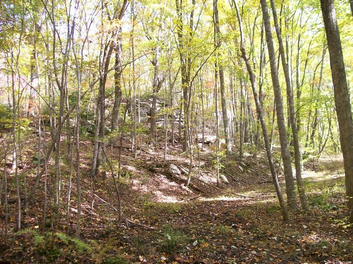 Lot 220 Jason Road Pikeville, TN 37367 - Photo 37 of 45 100_1273