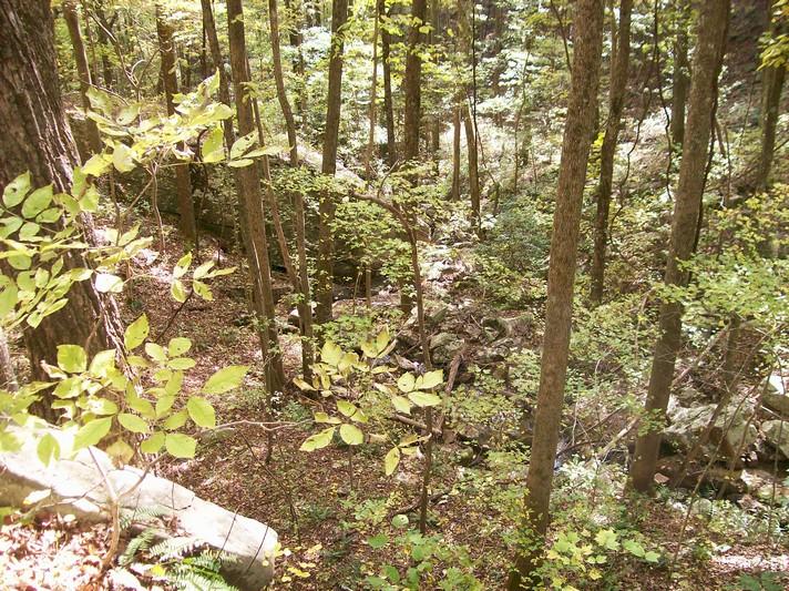 Lot 220 Jason Road Pikeville, TN 37367 - Photo 38 of 45 100_1274