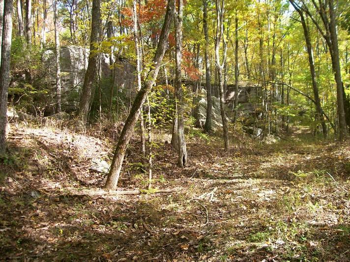 Lot 220 Jason Road Pikeville, TN 37367 - Photo 40 of 45 100_1276