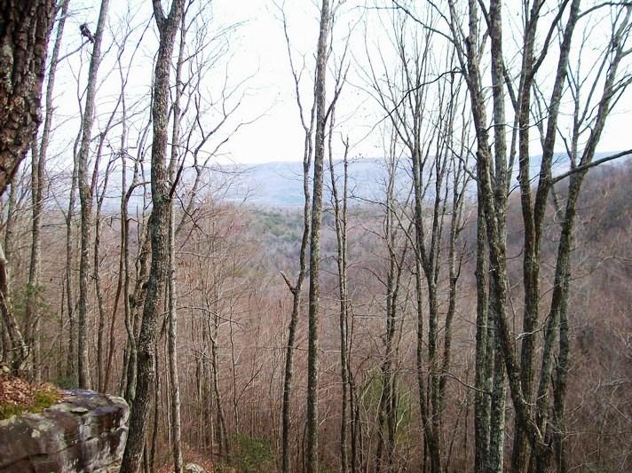 Lot 220 Jason Road Pikeville, TN 37367 - Photo 5 of 45 100_1479